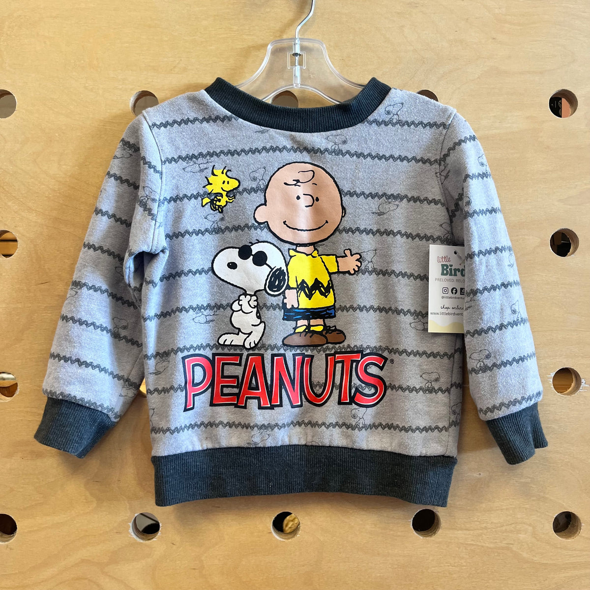 Grey Caharlie Brown & Snoopy Sweatshirt
