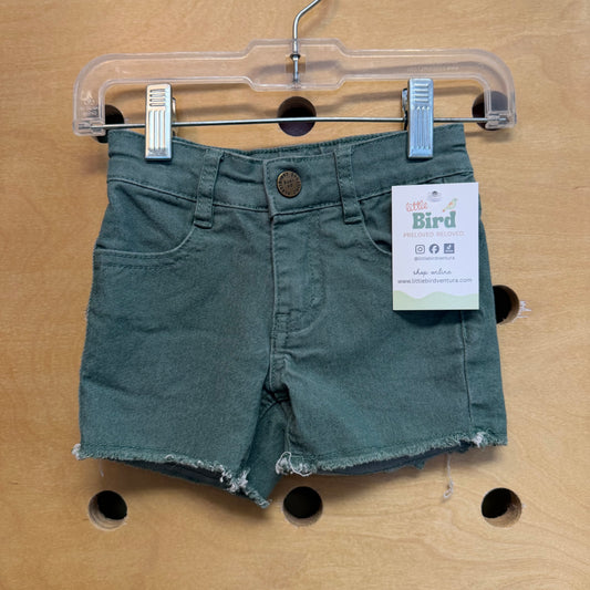 Teal Denim Shorts