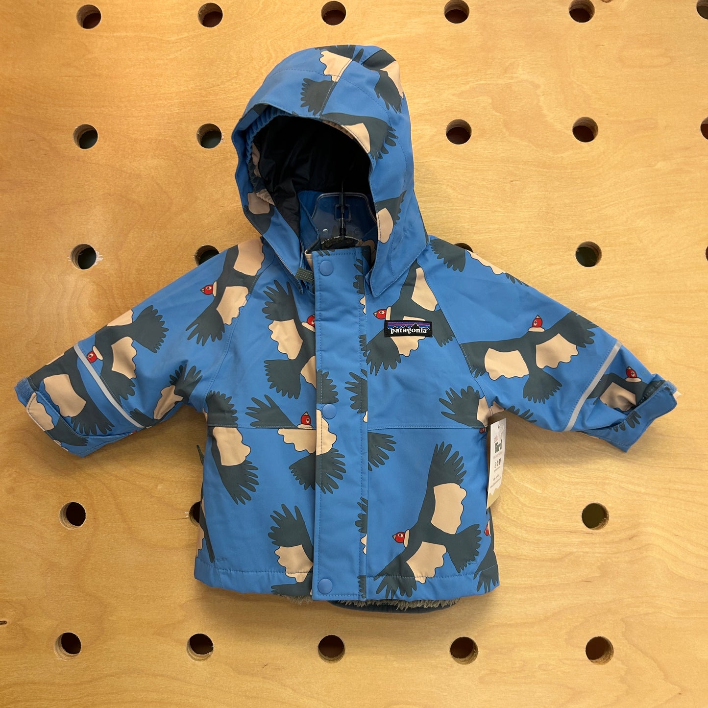 All Seasons Jacket California Condor