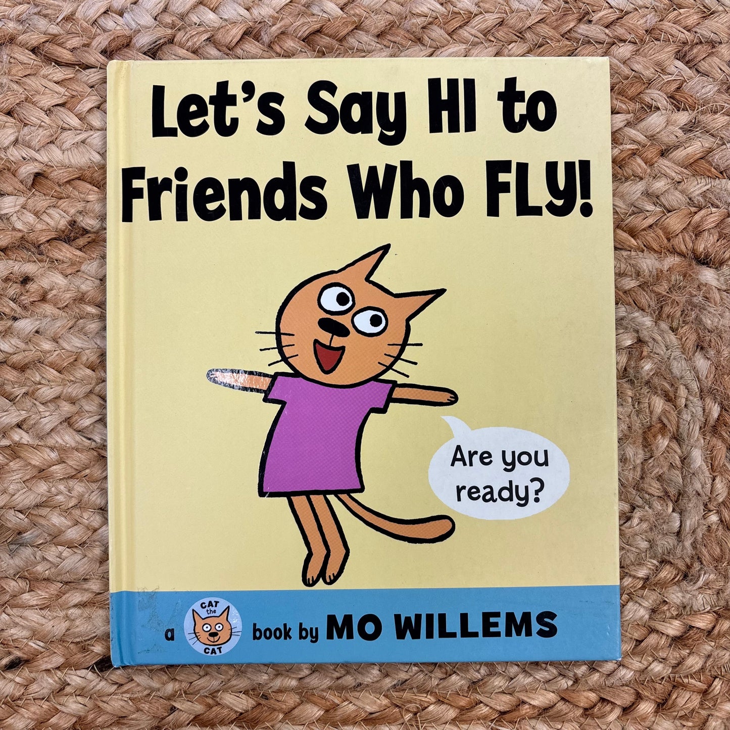 Let's Say Hi to Friends Who Fly