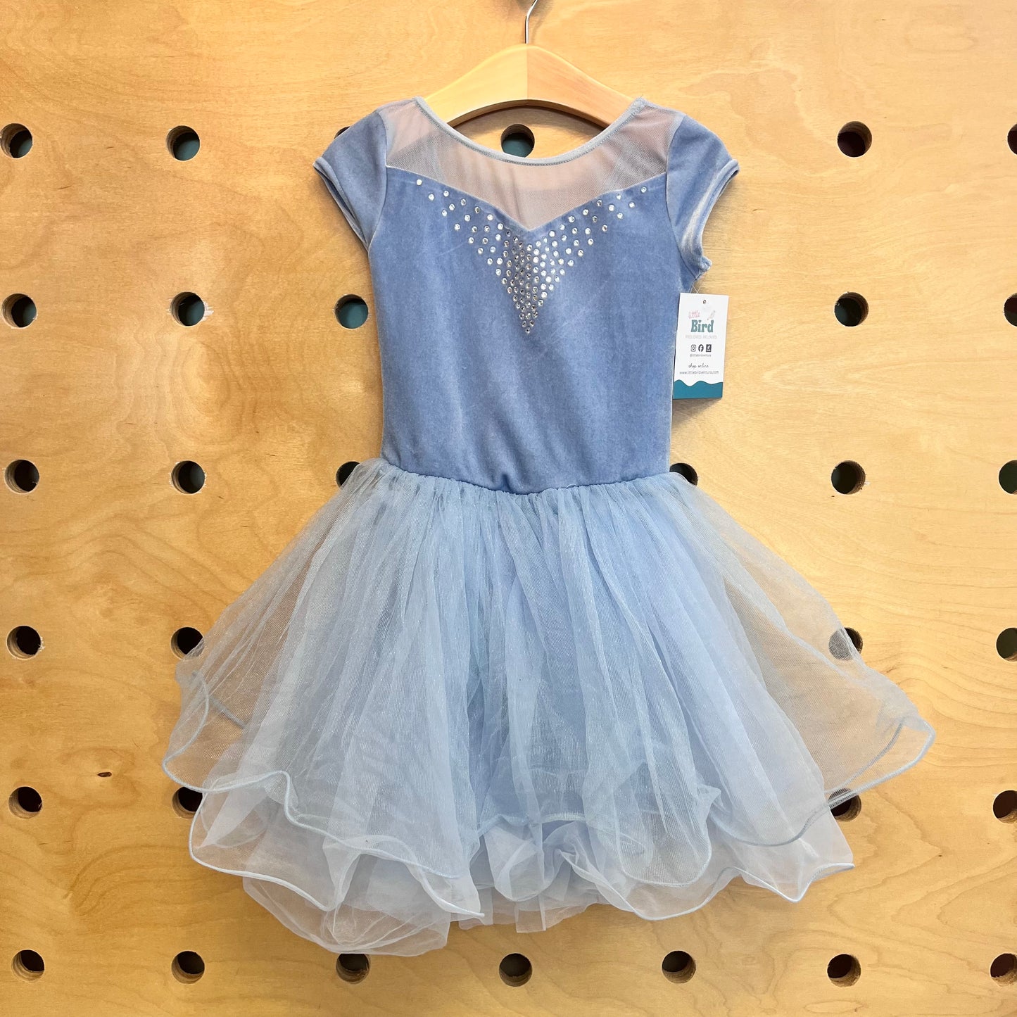 Blue Velour & Tulle Dance Dress