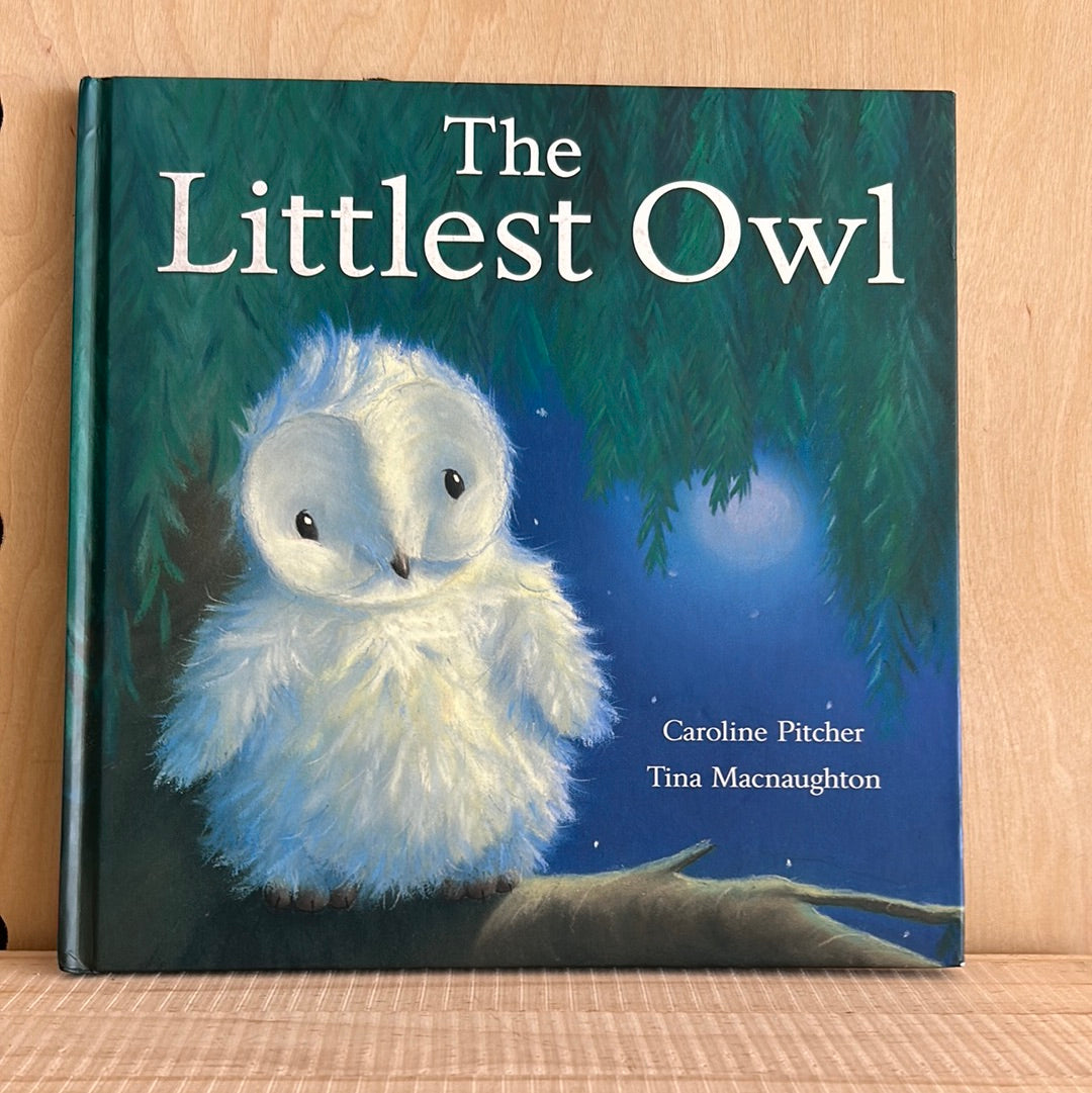 The Littelest Owl