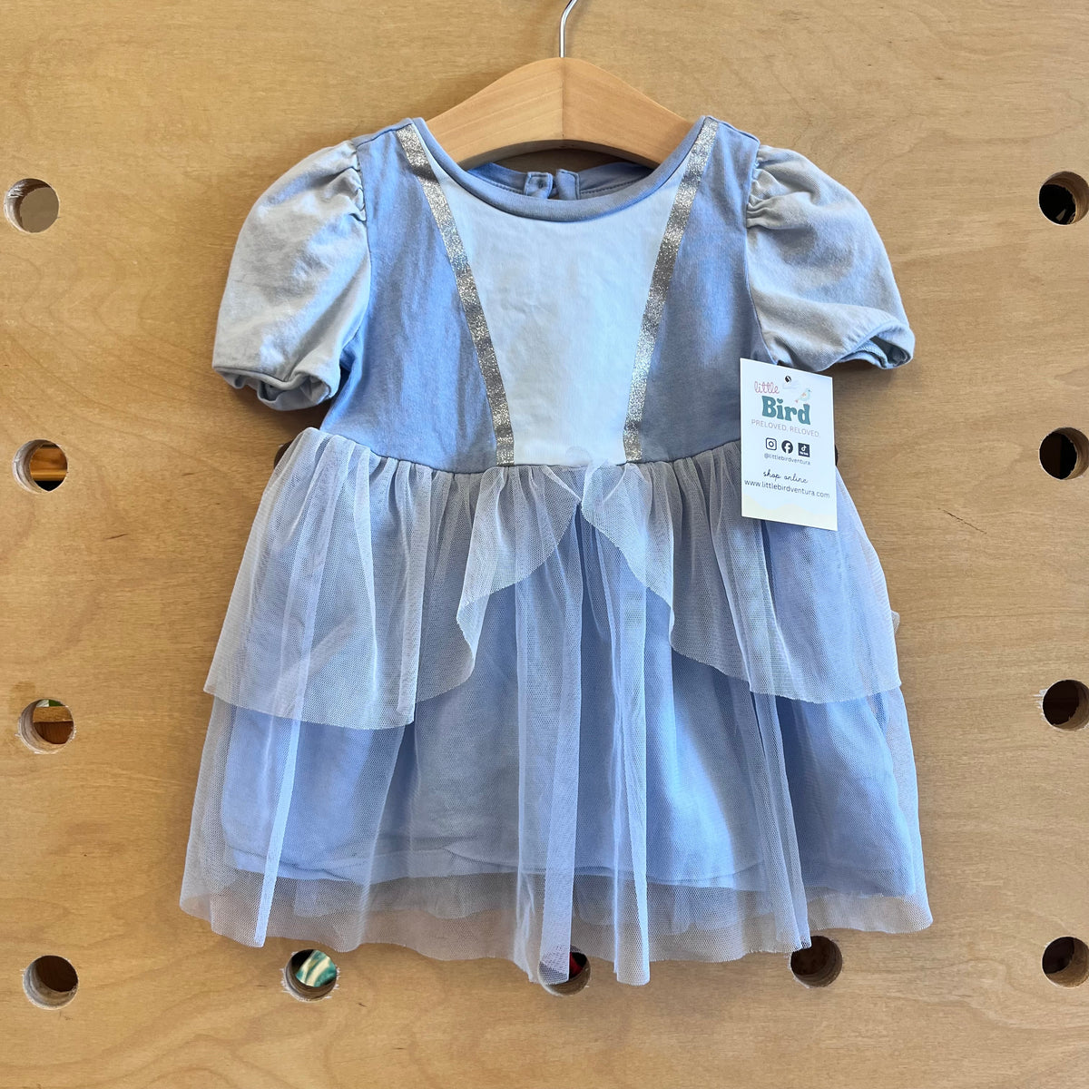 Blue Cinderella Dress
