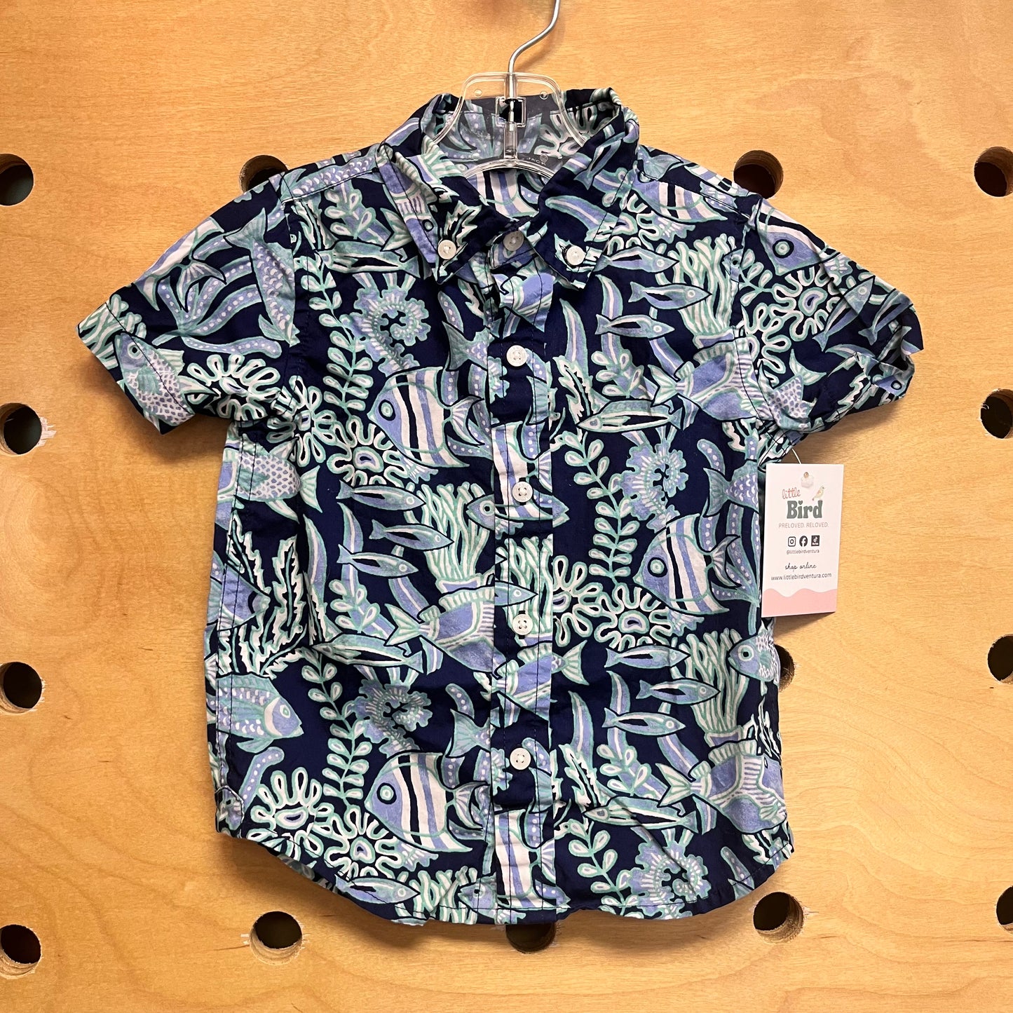 Blue/Aqua Fish Button Up