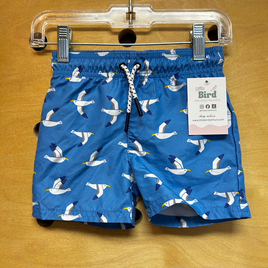 Blue Sea Birds Swim Shorts