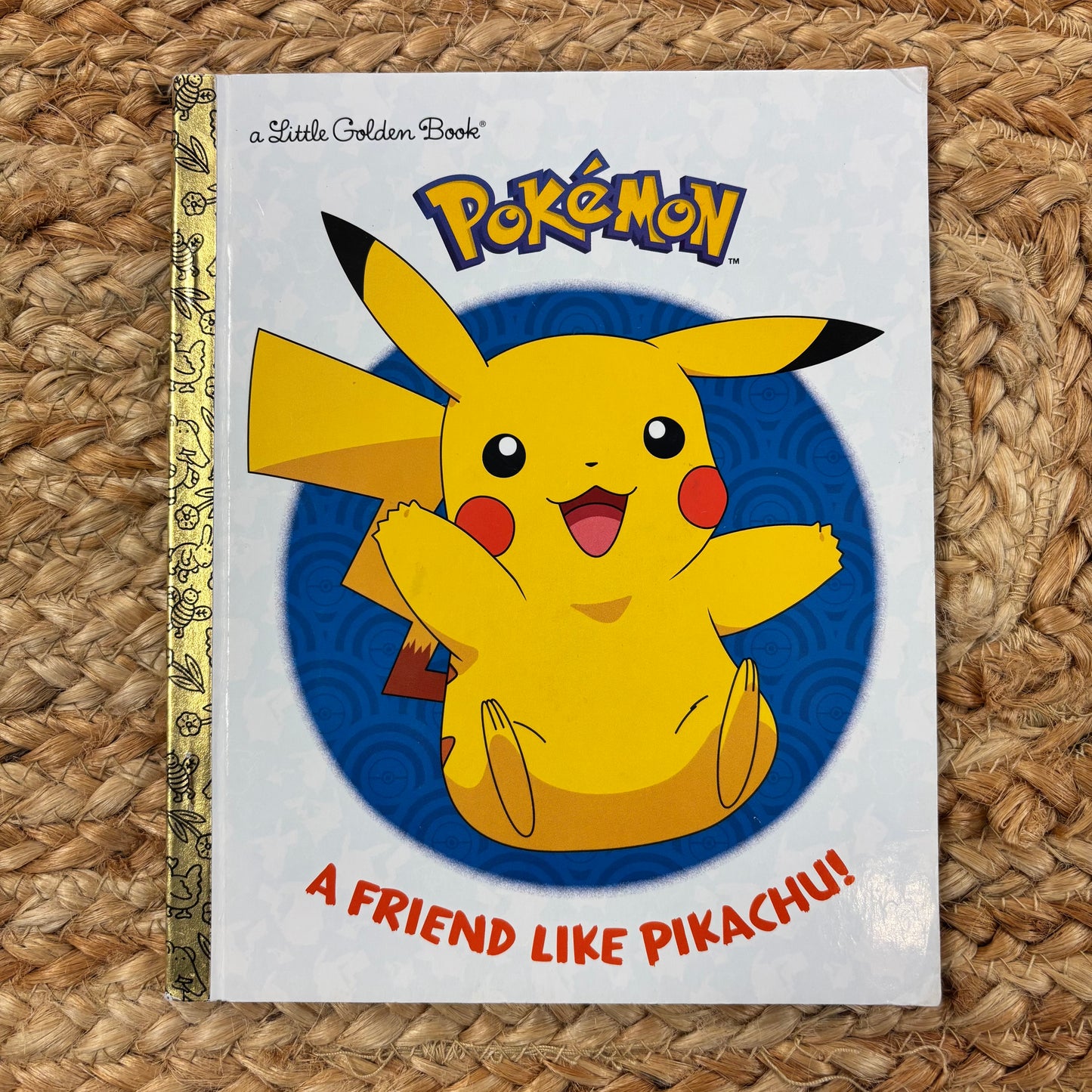 Pokemon: A Friend like Pikachu!