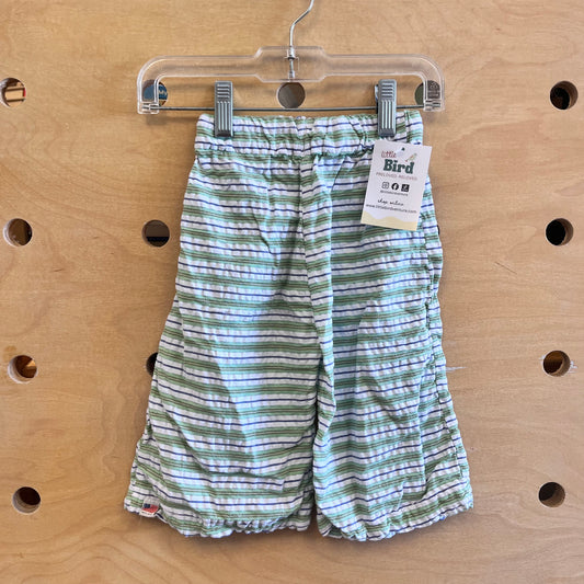 Green/Blue/White Striped Pants