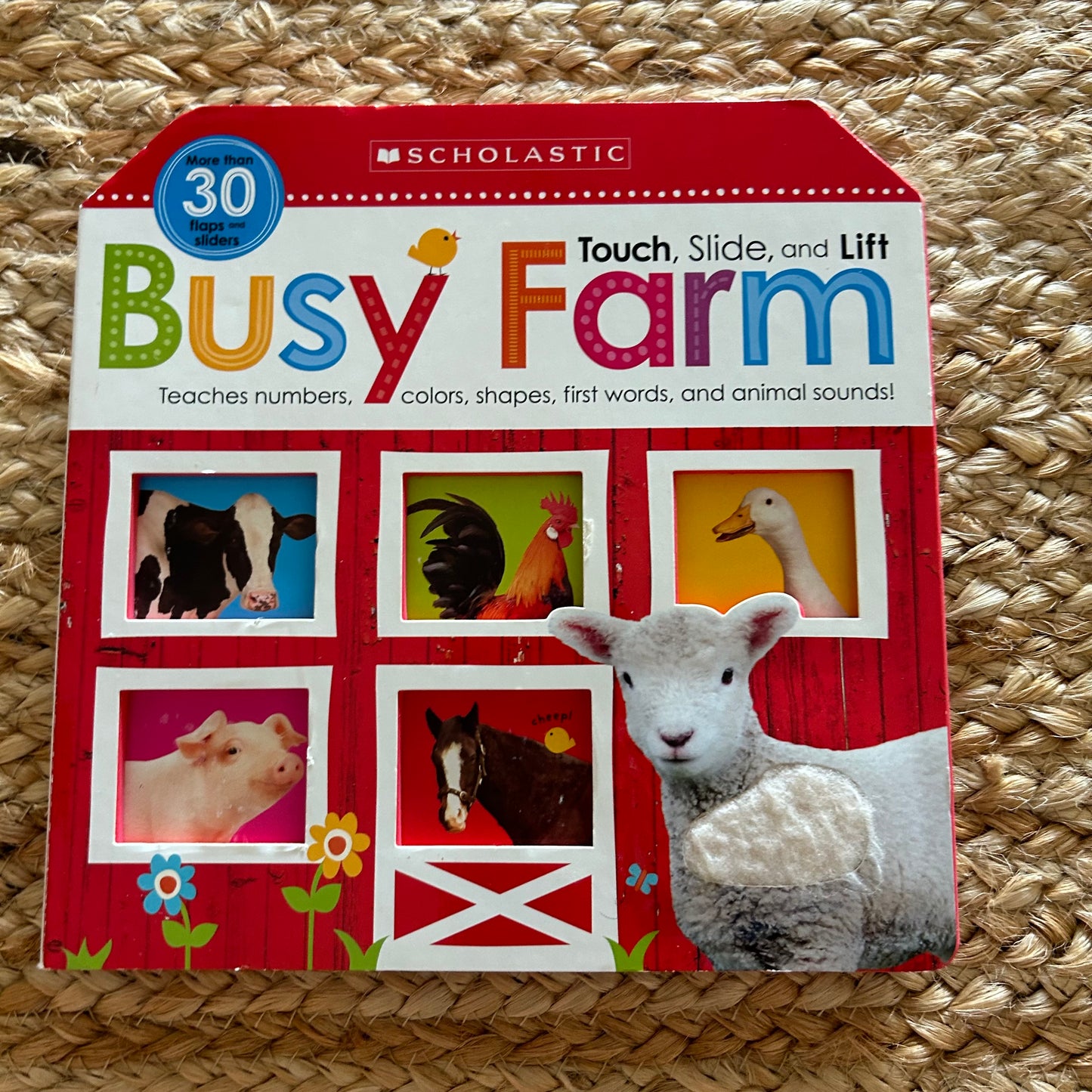 Busy Farm