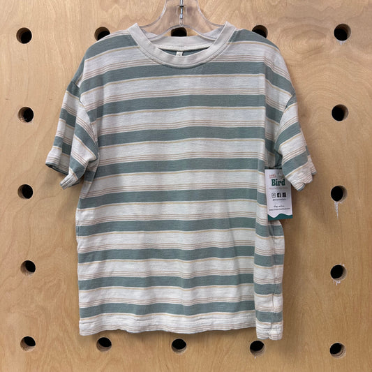 Blue & Tan Striped Tee