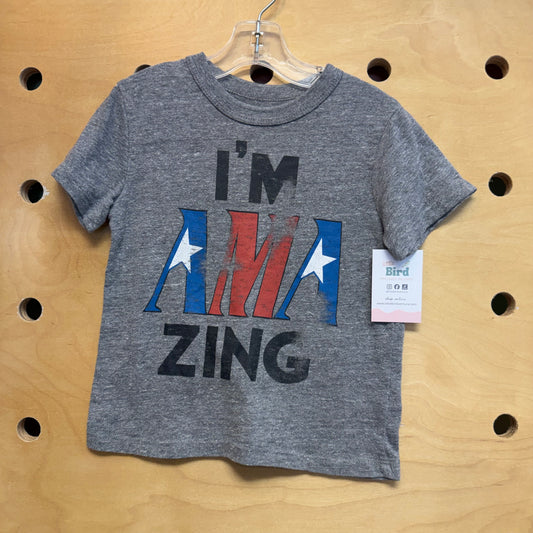 Grey 'Im Amazing' Tee