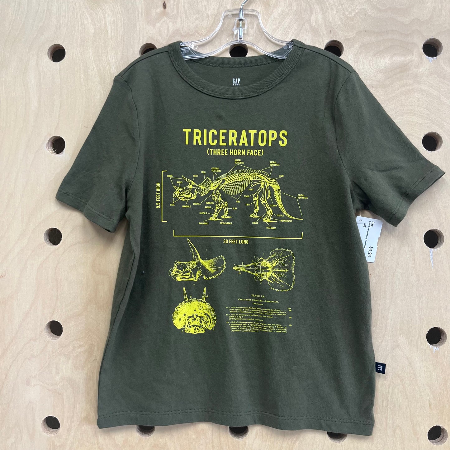 Green Triceratops Tee