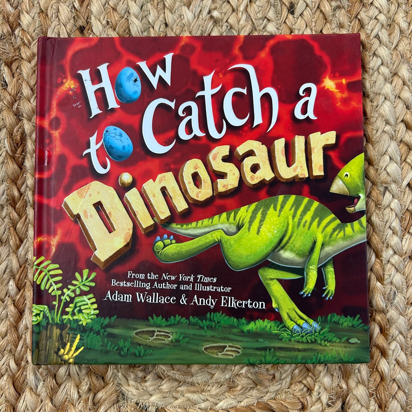 How to Catch a Dinosaur