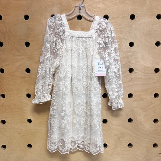Cream Lace Dress