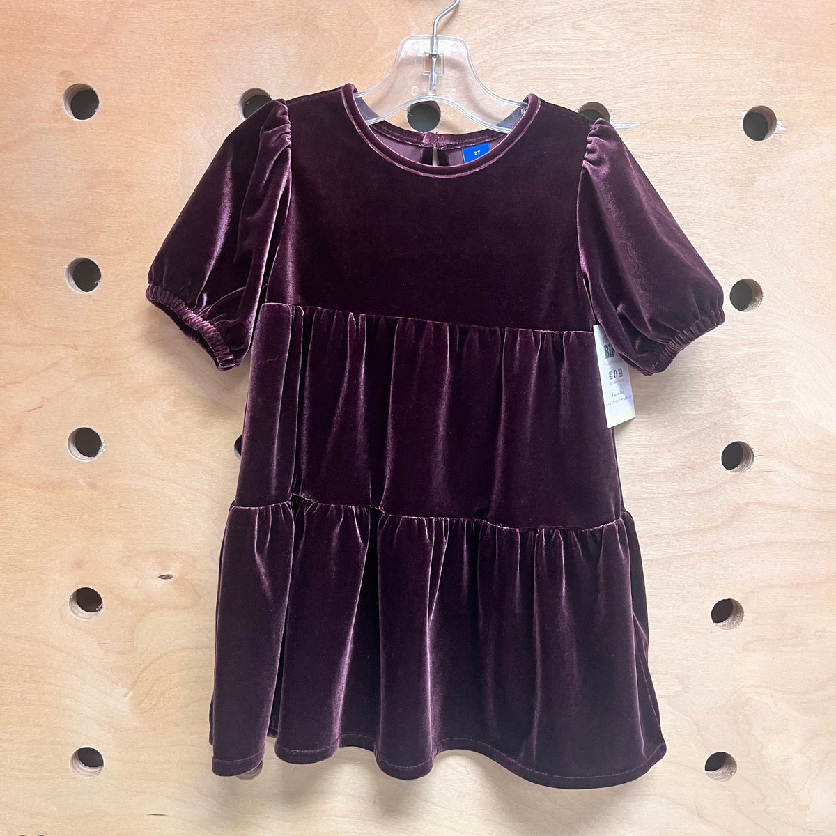 Plum Velour Dress