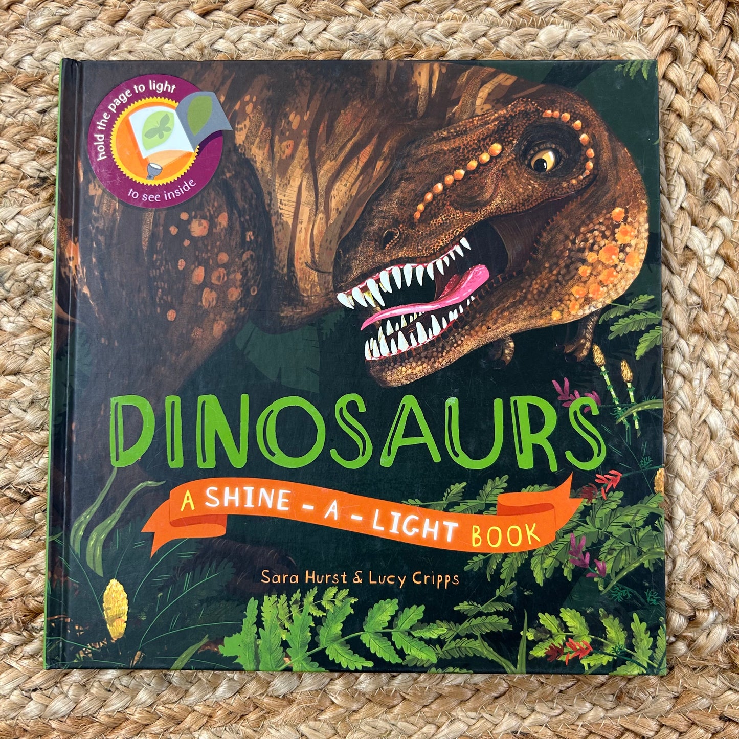Dinosaurs Shine Light Book