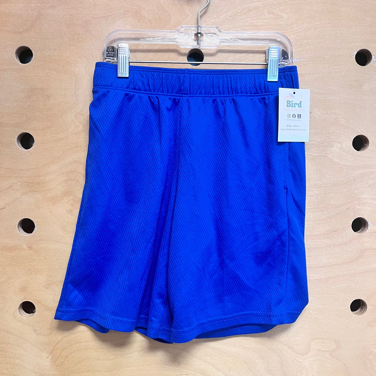 Blue Mesh Shorts