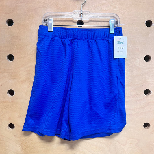 Blue Mesh Shorts