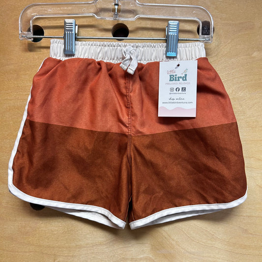 Colorblock Swim Shorts
