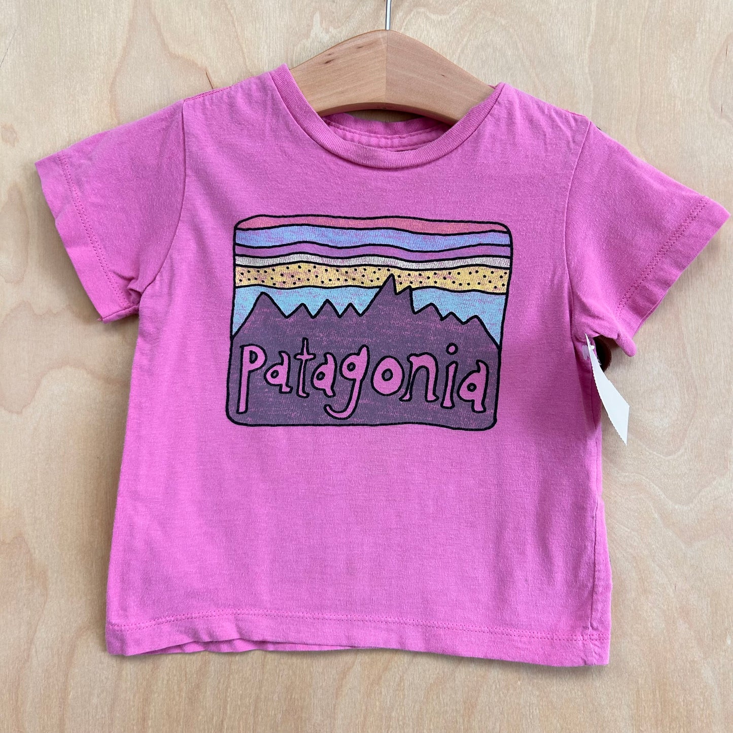 Pink Mountains Logo Tee