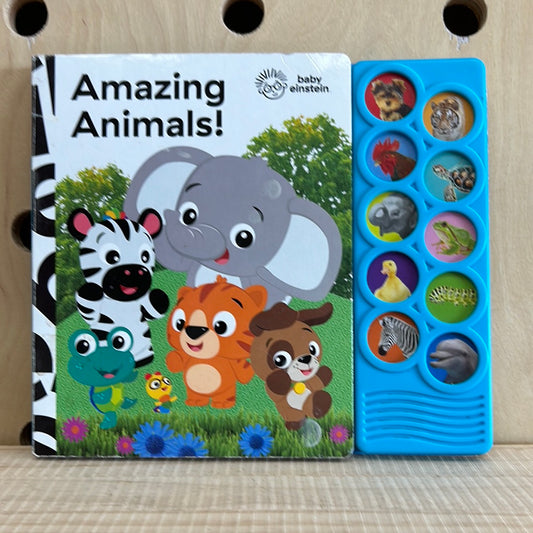 Amazing Animals