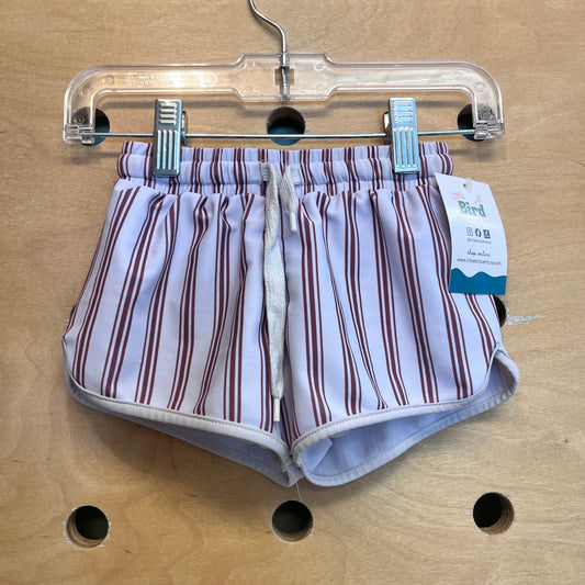 Brown/Blue Striped Swim Trunks