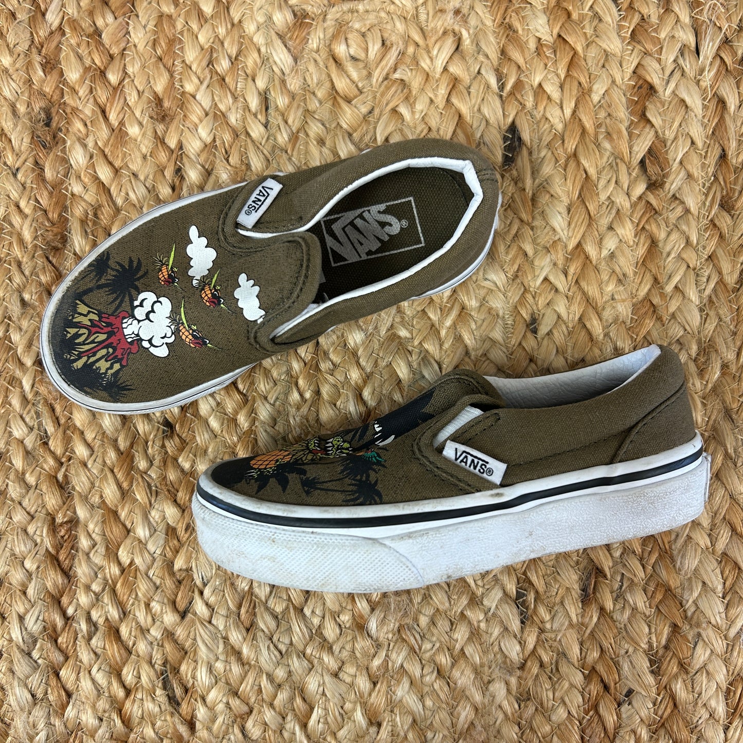 Prehistoric Pineapple Skate Slip-Ons