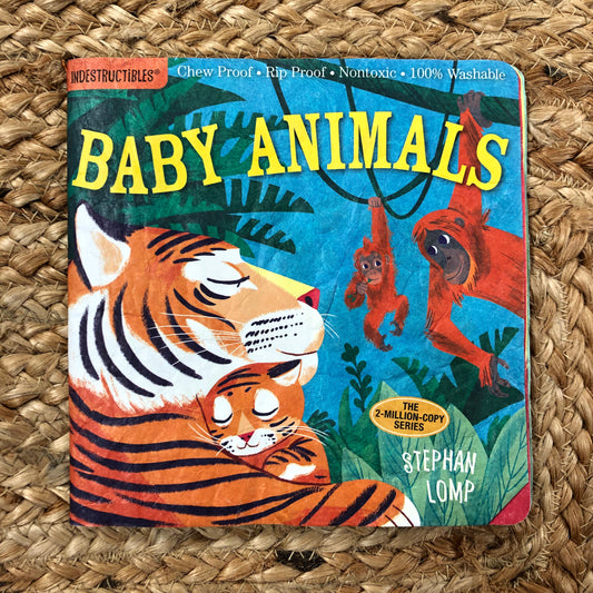 Baby Animals