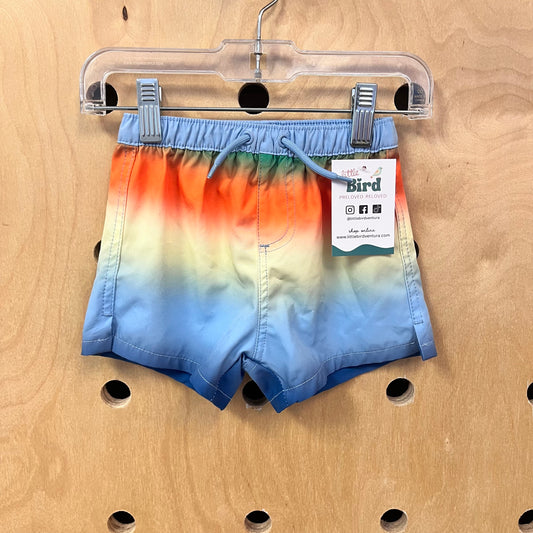 Ombre Swim Shorts