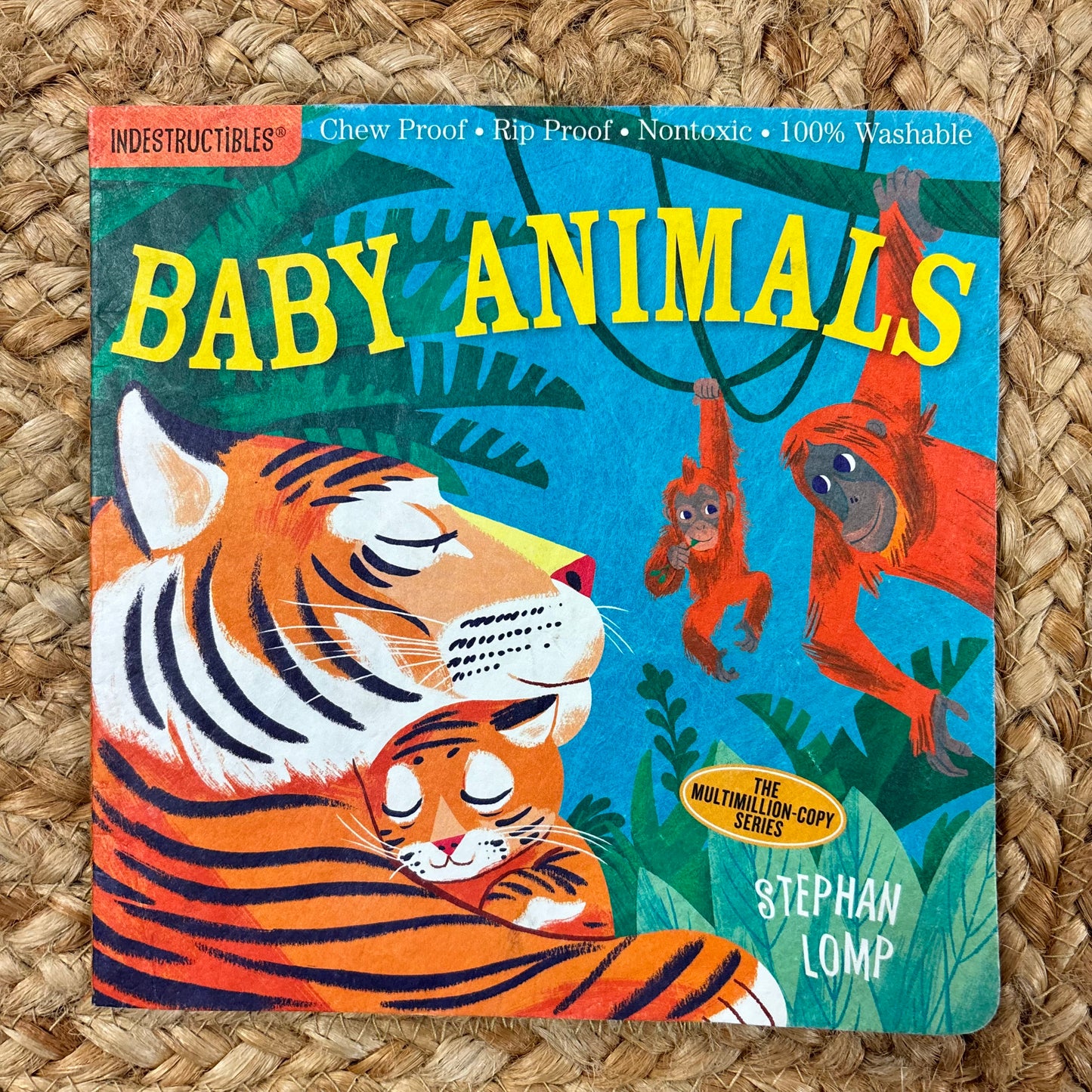 Baby Animals