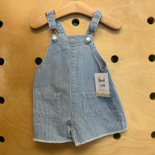 Blue Striped Denim Coveralls