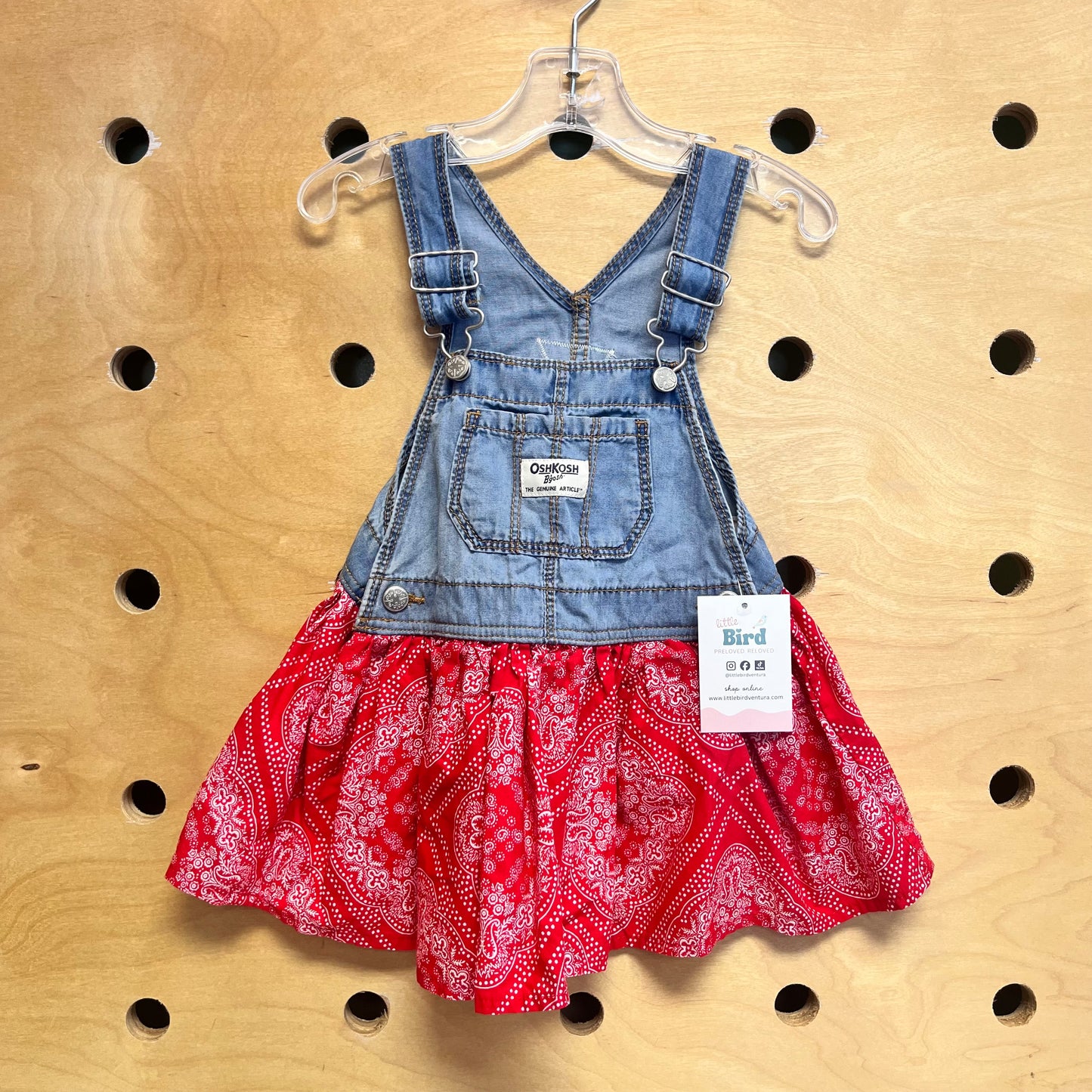 Red Paisley Denim Skirtall