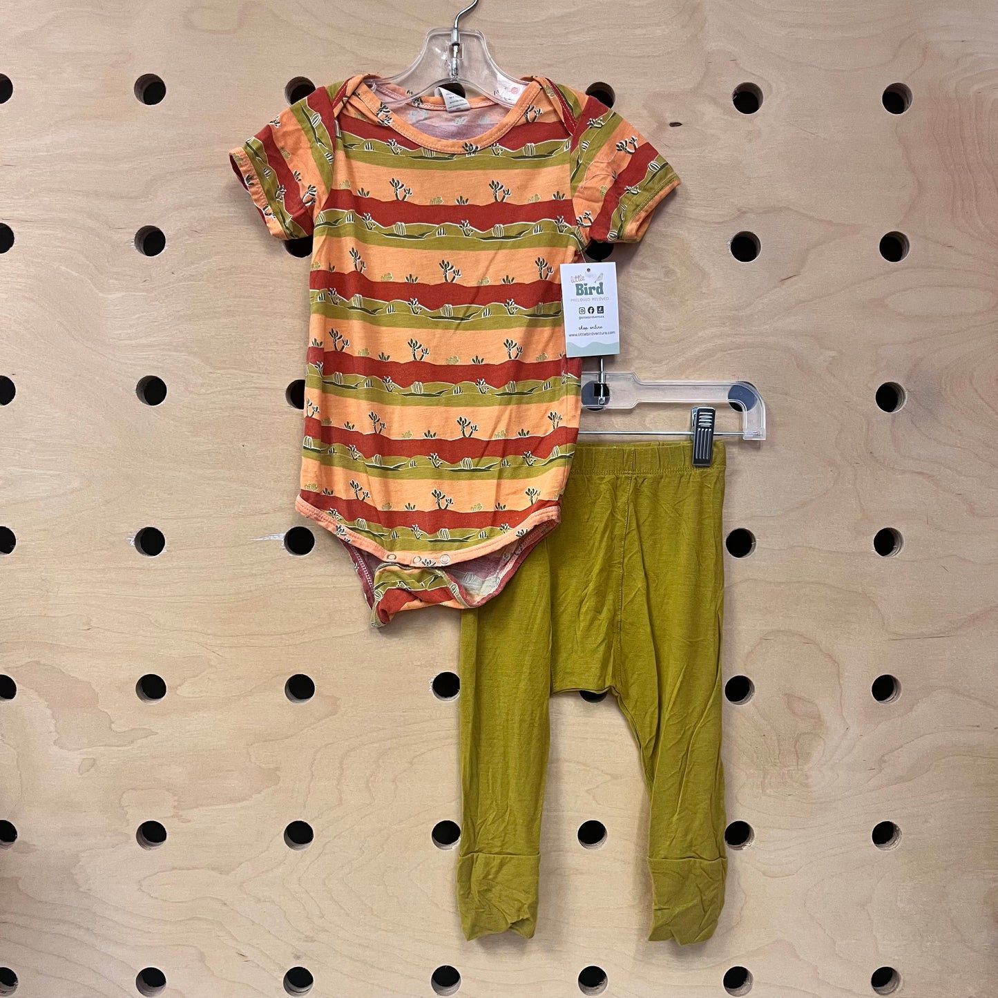 Green & Orange Cactus Modal Outfit