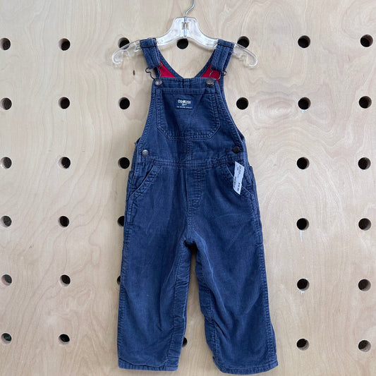 Blue Lined Cord Overalls