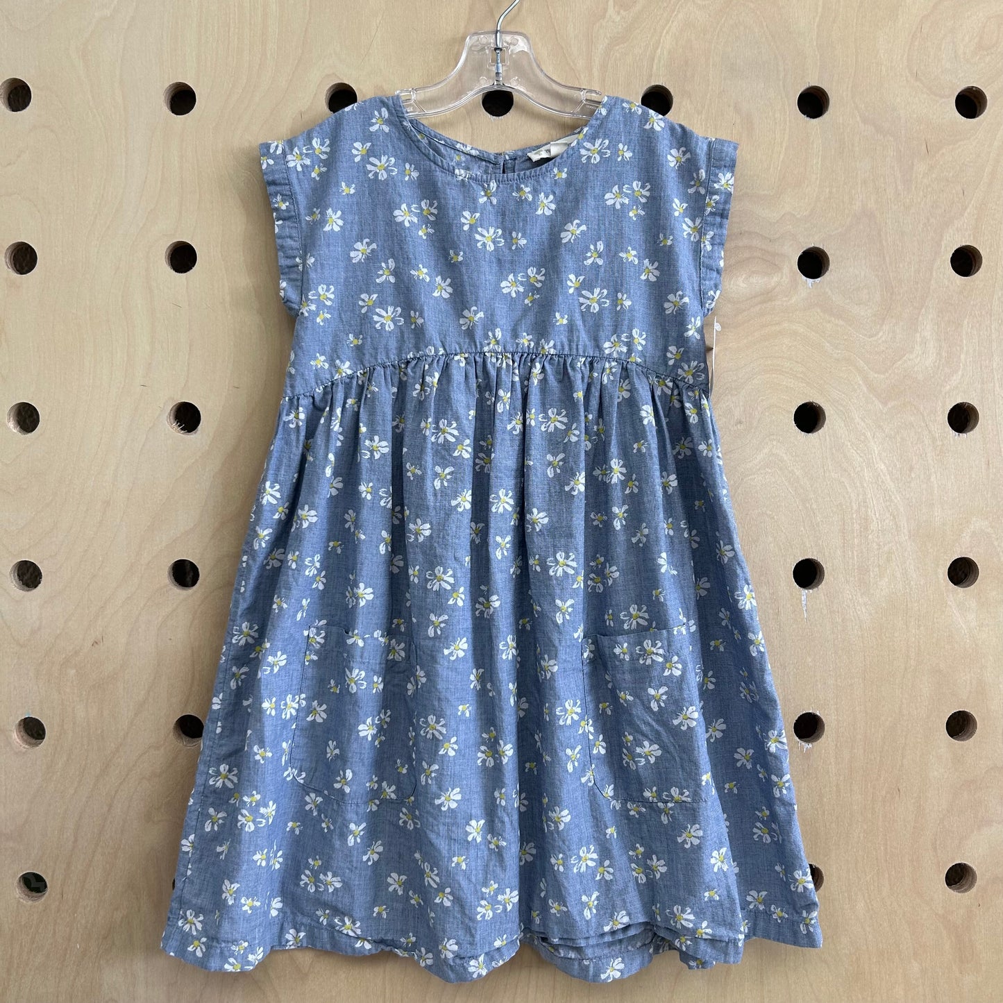 Chambray Daisy Dress