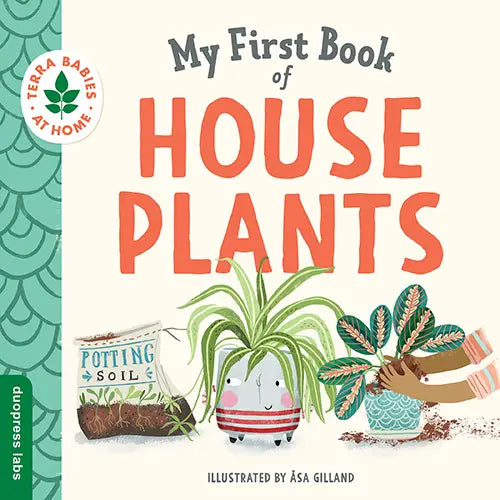 House Plants