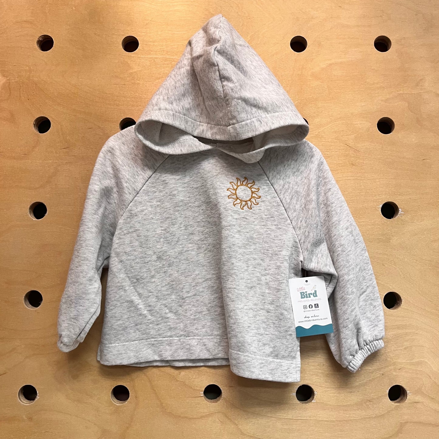 Grey Embroidered Sun Hoodie