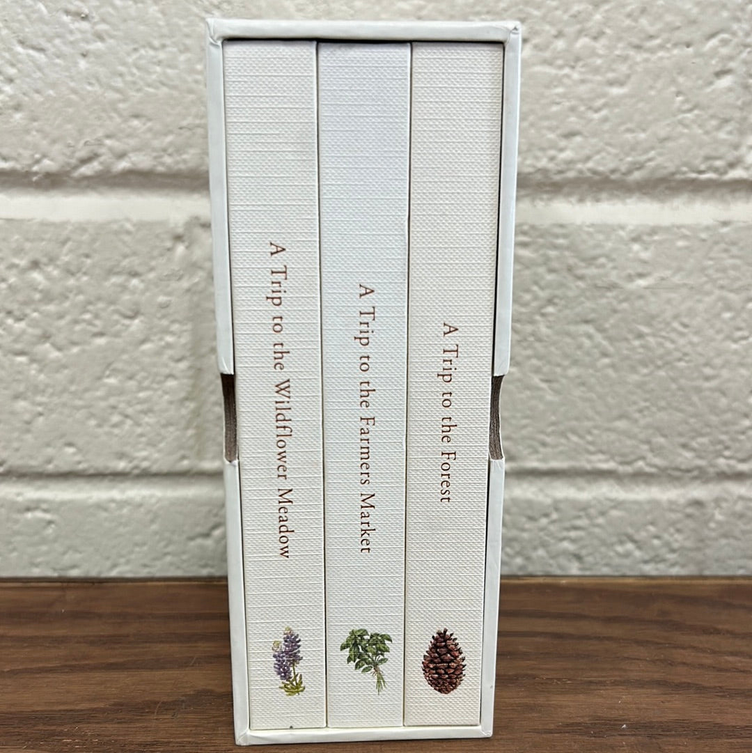 Our Little Adventures Boxed Set