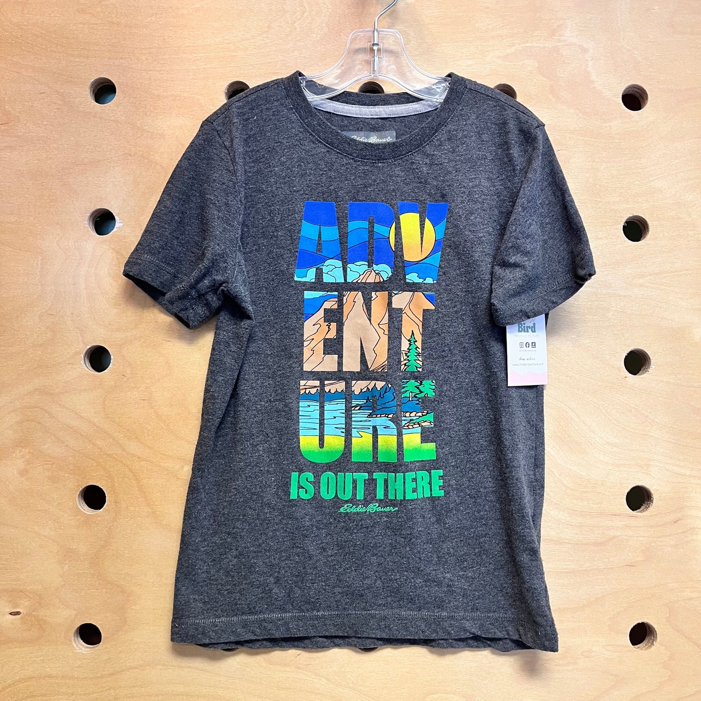 Grey Adventure is Out There Tee