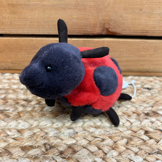 Layla Ladybug