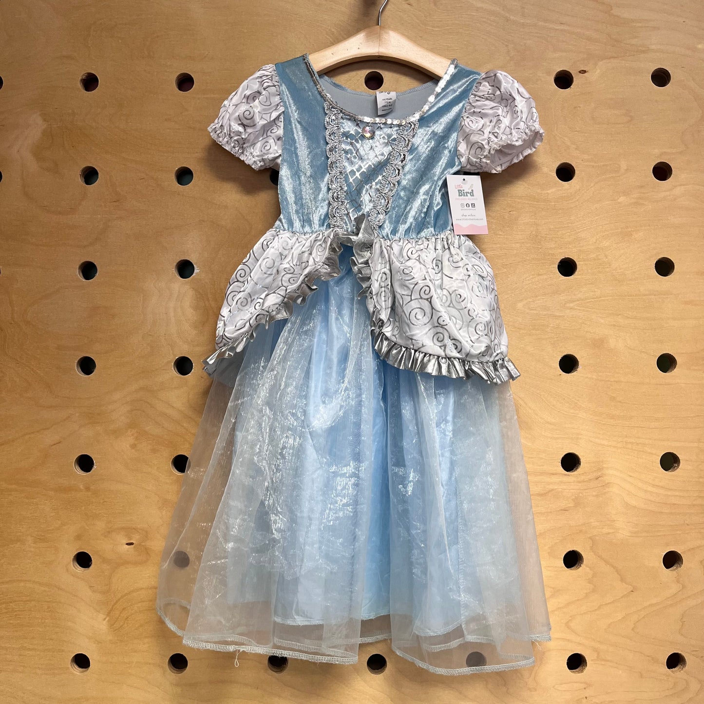 Blue/Silver Princess Dress