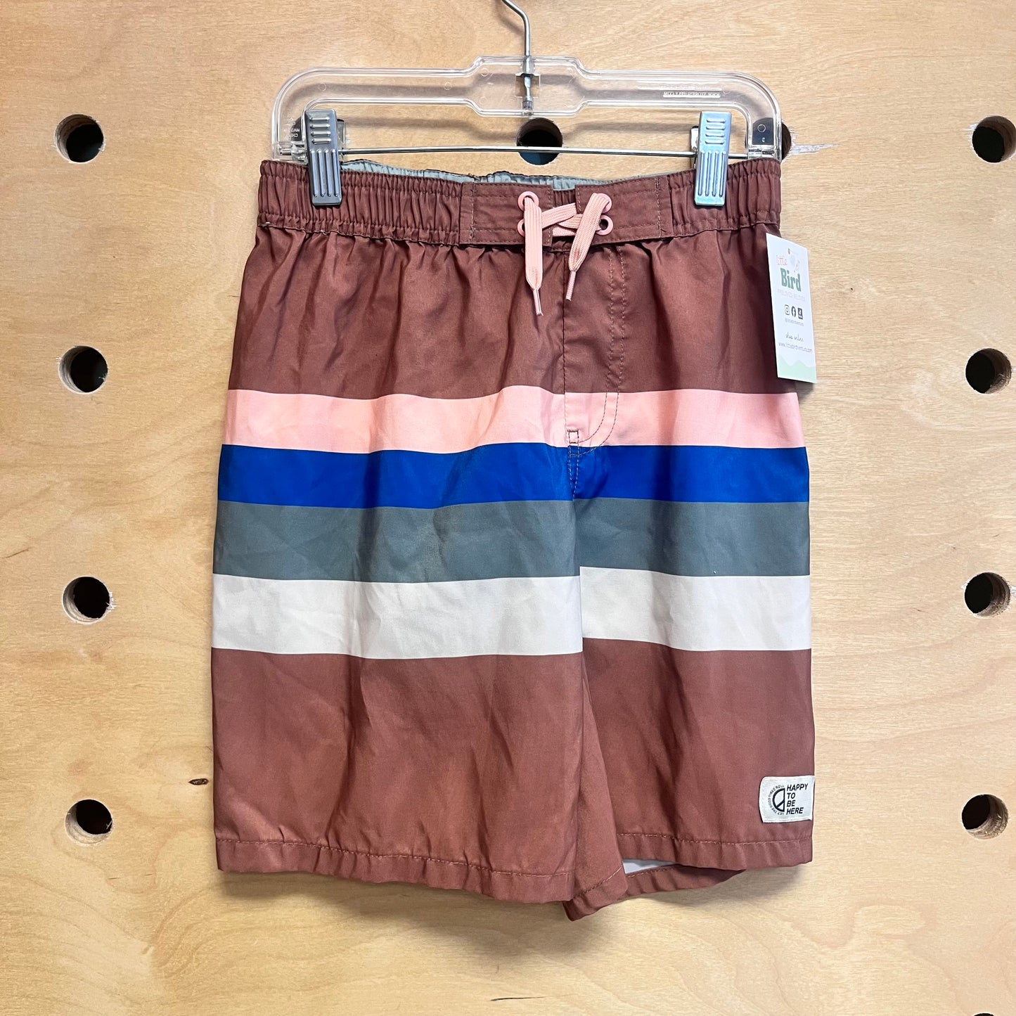Brown/Multicolor Striped Swim Trunks