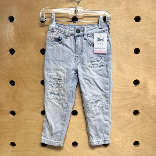 Lightwash Distressed Denim