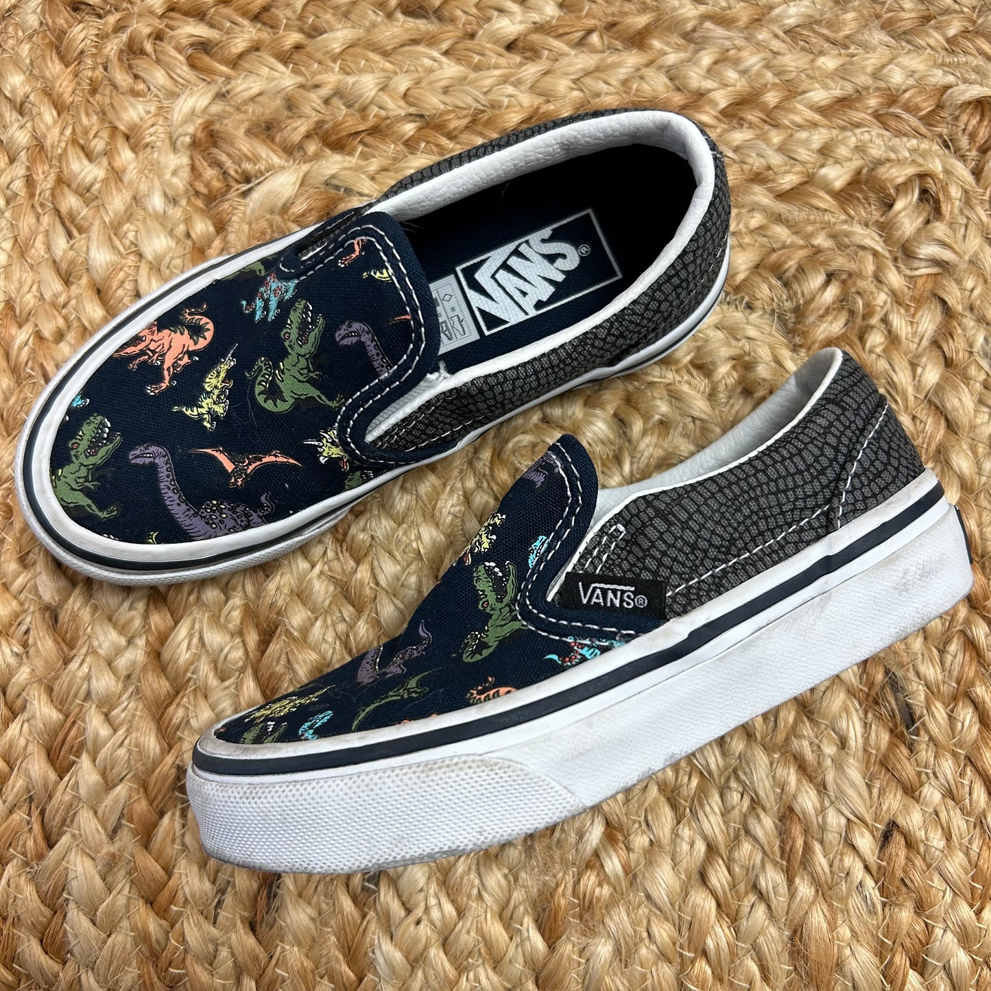 Blue Dinsoaur Slip Ons