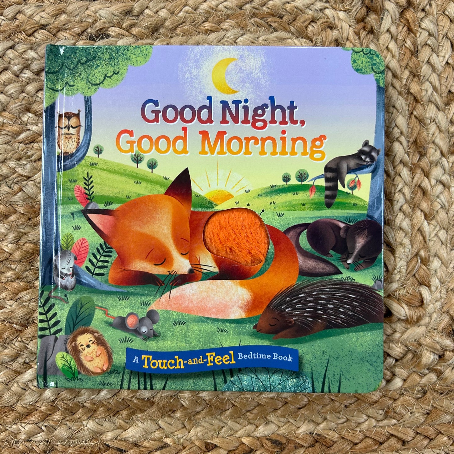 Good Night, Good Morning