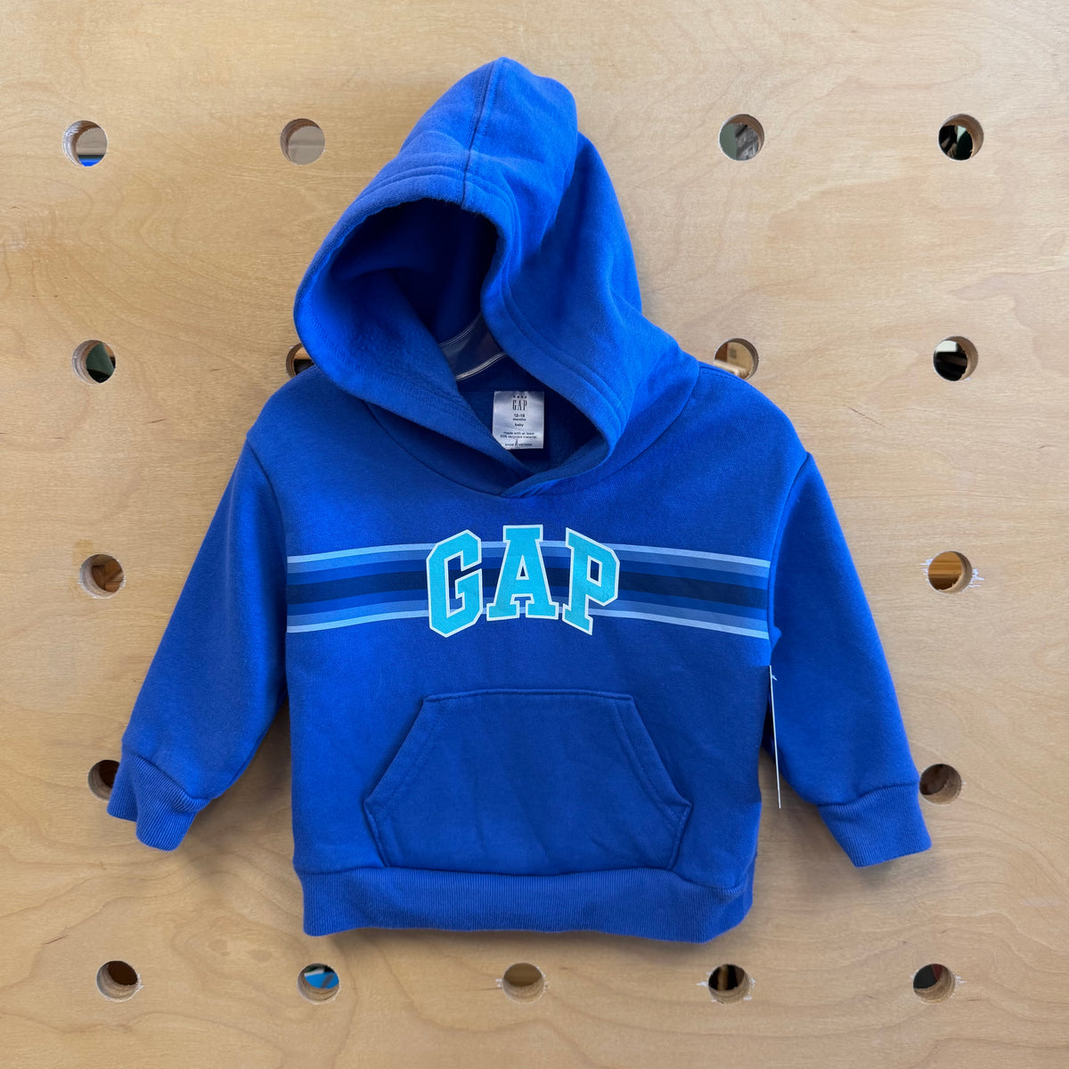 Blue Logo Hoodie