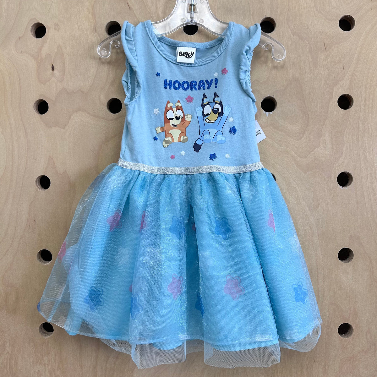 Blue Tulle Bluey Dress