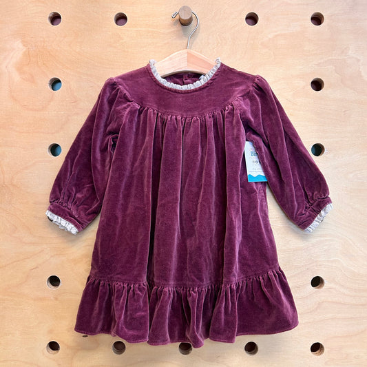 Little Star Plum Velour Dress