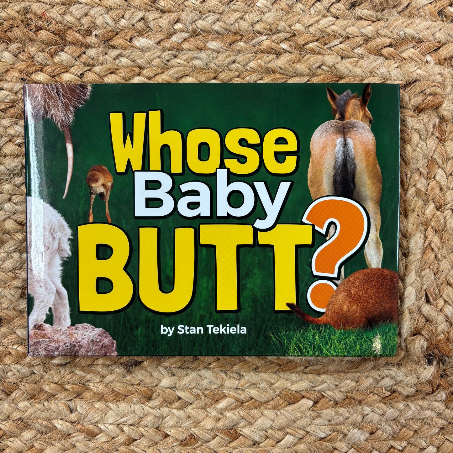 Whose Baby Butt?
