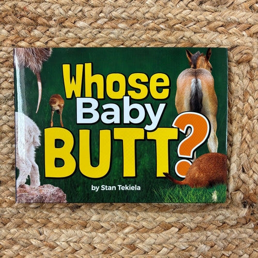 Whose Baby Butt?