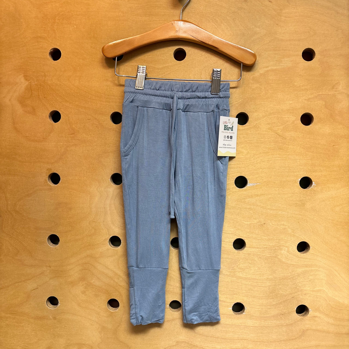 Blue Bamboo Joggers